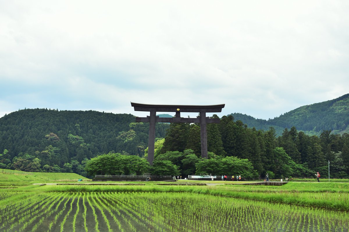 橋谷田真 tweet media