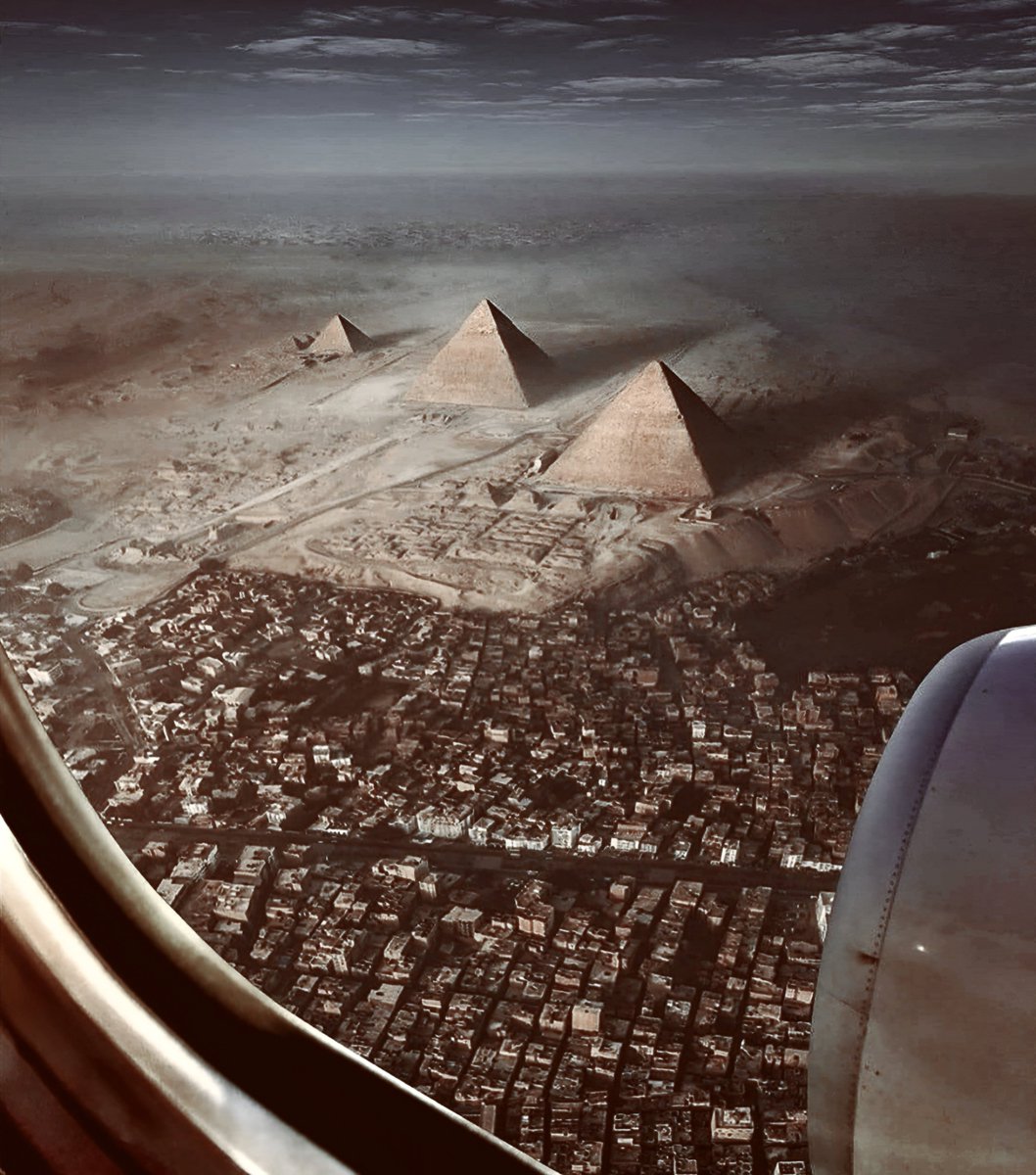 ‍ ‍‍‍‍ ‍ ‍ ‍‍‍ᅠ 𝐞𝐯𝐞𝐥𝐲𝐧 𝐛𝐞𝐧𝐧𝐞𝐭𝐭. ᅠ tweet media