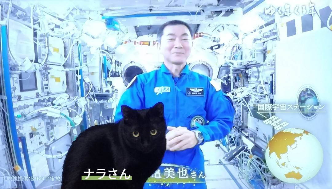 akaheno's tweet photo. 娘の作品。

なんかのテレビのあけおめ中継中に、TV前に現れた愛猫を撮影して加工。
爆笑ｗｗｗ

#宇宙 #謹賀新年 #猫 #あけおめ https://t.co/4OF6bmuY65