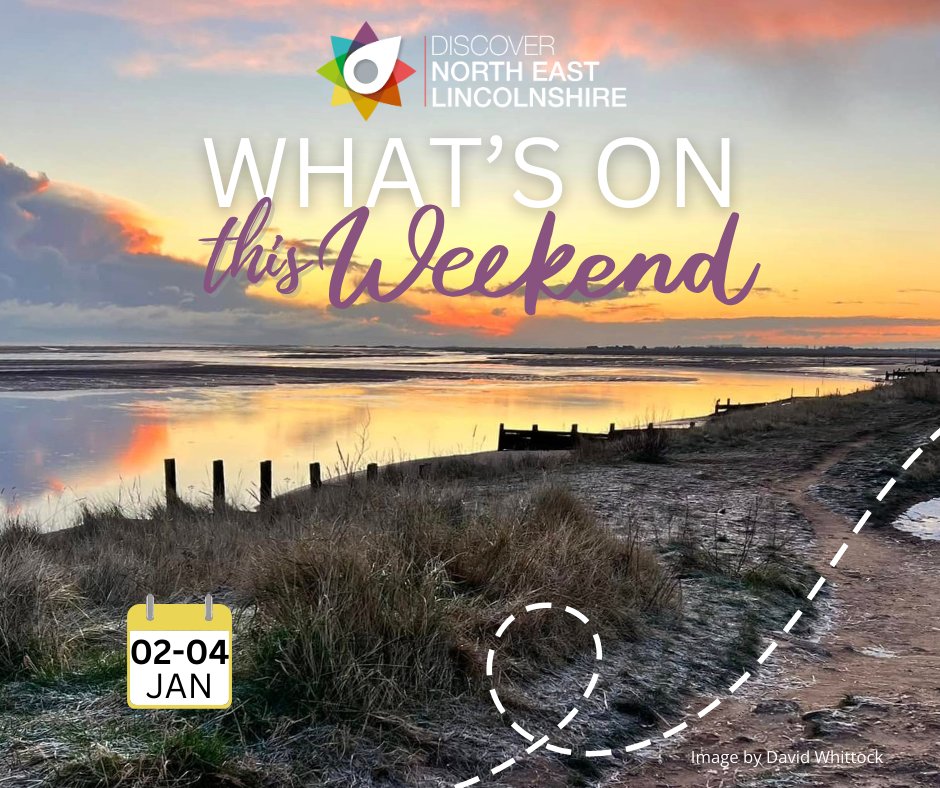 DiscoverNEL tweet media