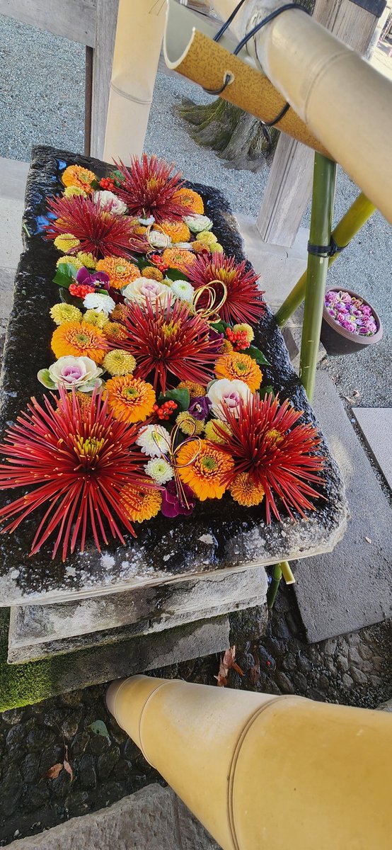 0520Legend's tweet photo. 2025.12.31
相模原市中央区花手水🌺
氷川神社さまの花手水

#花手水 #花手水アニキ　
#花手水男子 #花手水めぐり https://t.co/TI5W7cgAq7