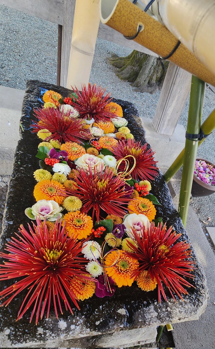 0520Legend's tweet photo. 2025.12.31
相模原市中央区花手水🌺
氷川神社さまの花手水

#花手水 #花手水アニキ　
#花手水男子 #花手水めぐり https://t.co/TI5W7cgAq7