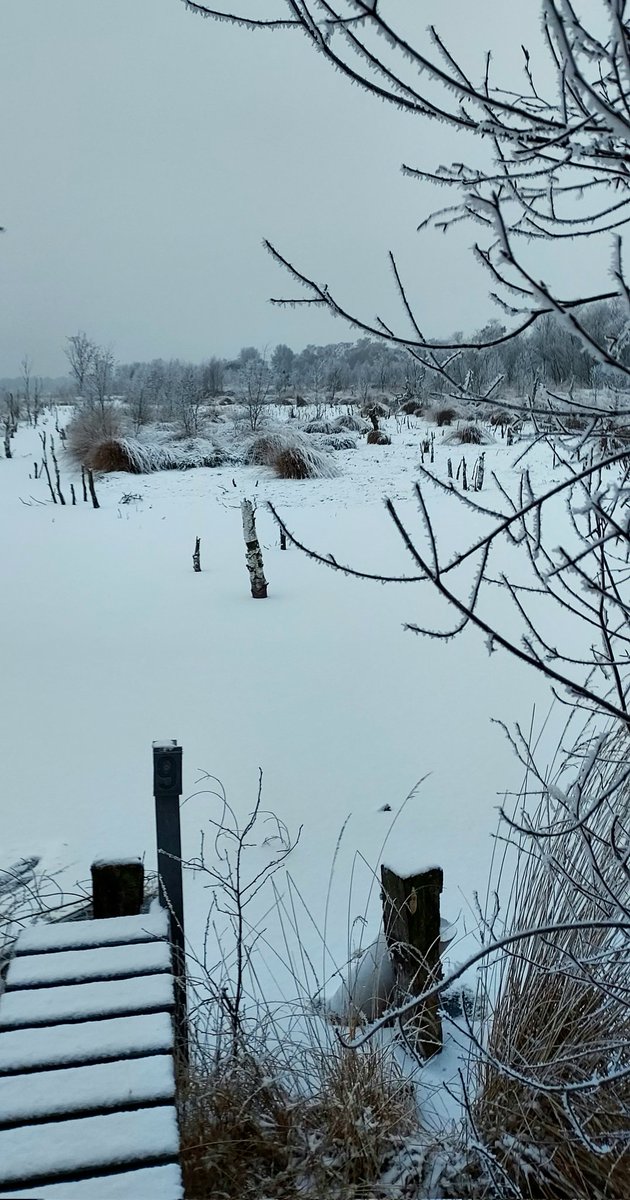 chriz31_07's tweet image. Share your shots for Frosty Friday❄️

Take a new photo or choose one from the gallery!

#FrostyFriday #winteriscoming
#Friday