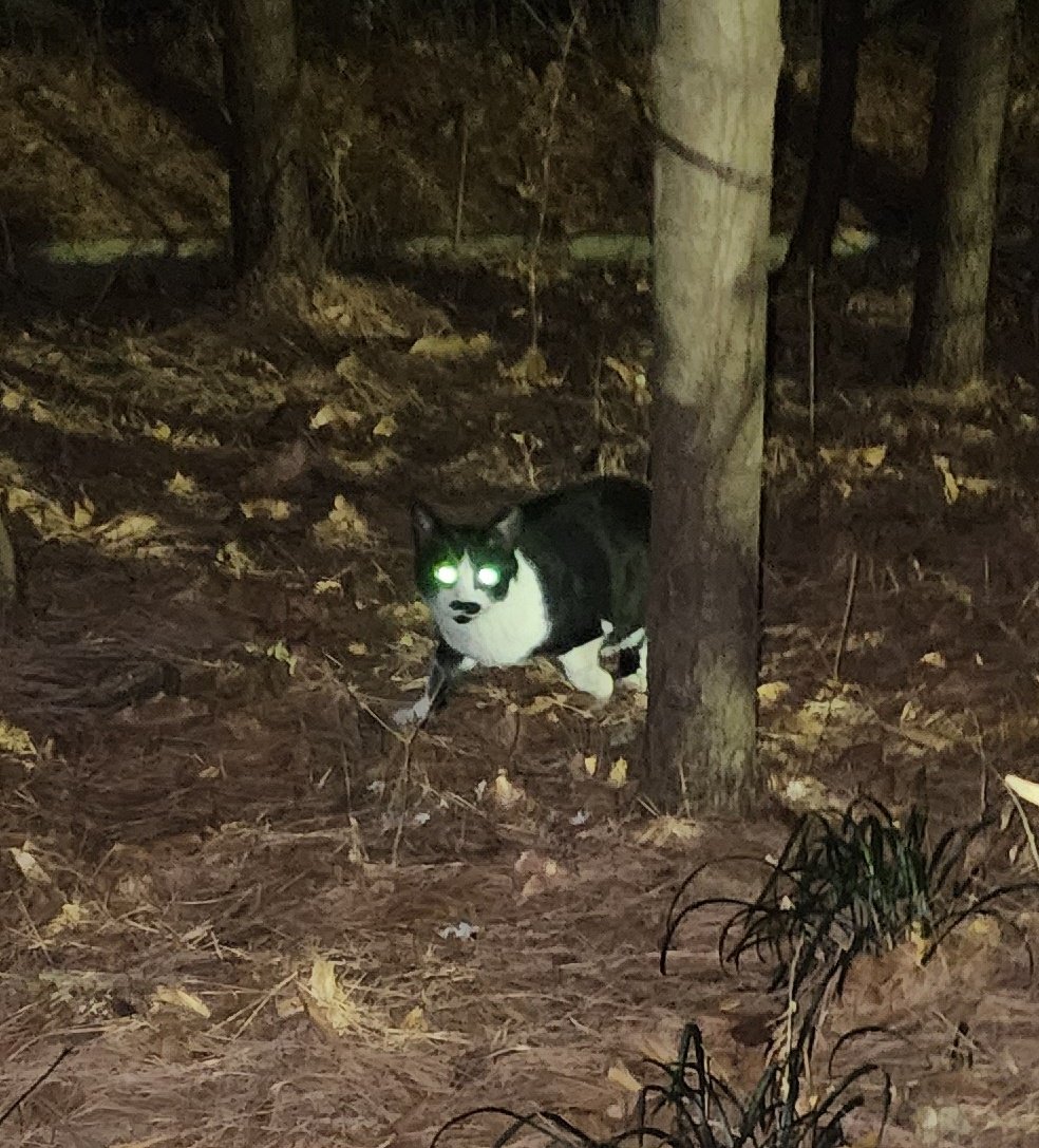 ramyun_man's tweet image. 어서 와서 물 마셔 아조씨가 밤 새도록 안 어는 물 갖고 왔다