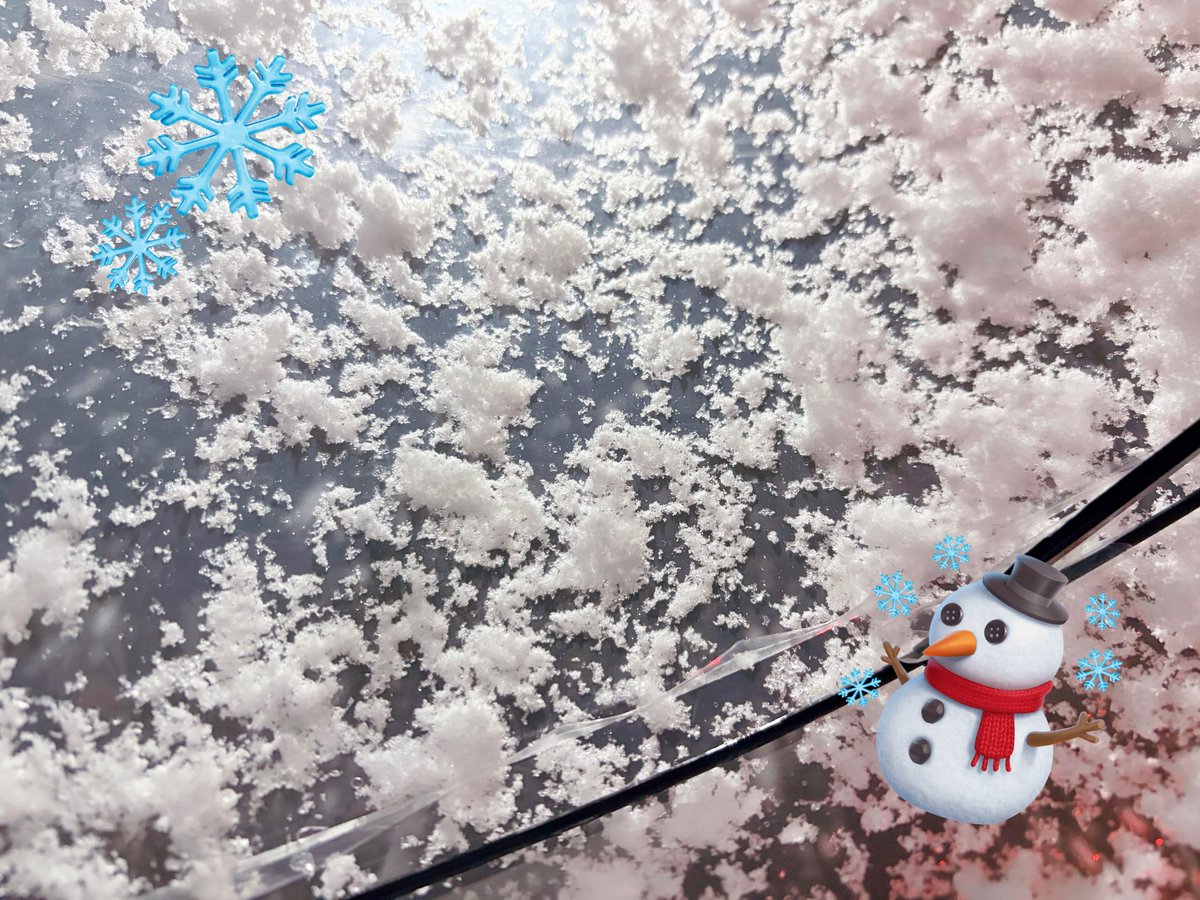 __aaaaayu__'s tweet photo. 雪だーーー！！！！❄️.*˚ https://t.co/SG9hsHT9iE