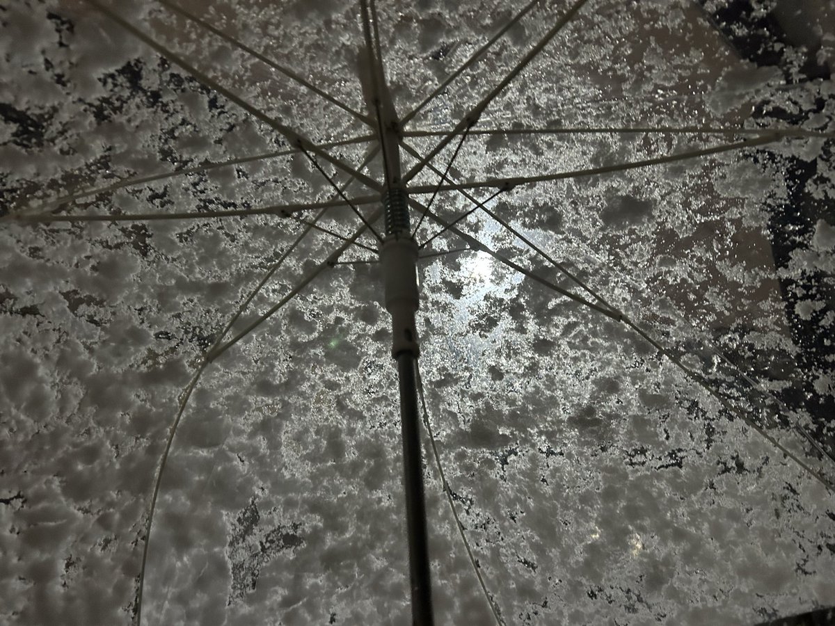 今仕事帰りなんだけど…雪…ヤバすぎ…❄️
傘差してても雪が目に入って前が見えにくいよ〜😭
明日も仕事なのに交通機関大丈夫かな💦