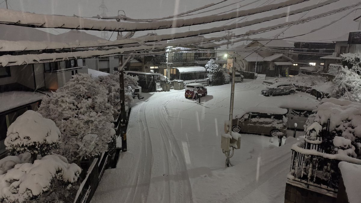 なゆた (@nayuta367) / Posts / X