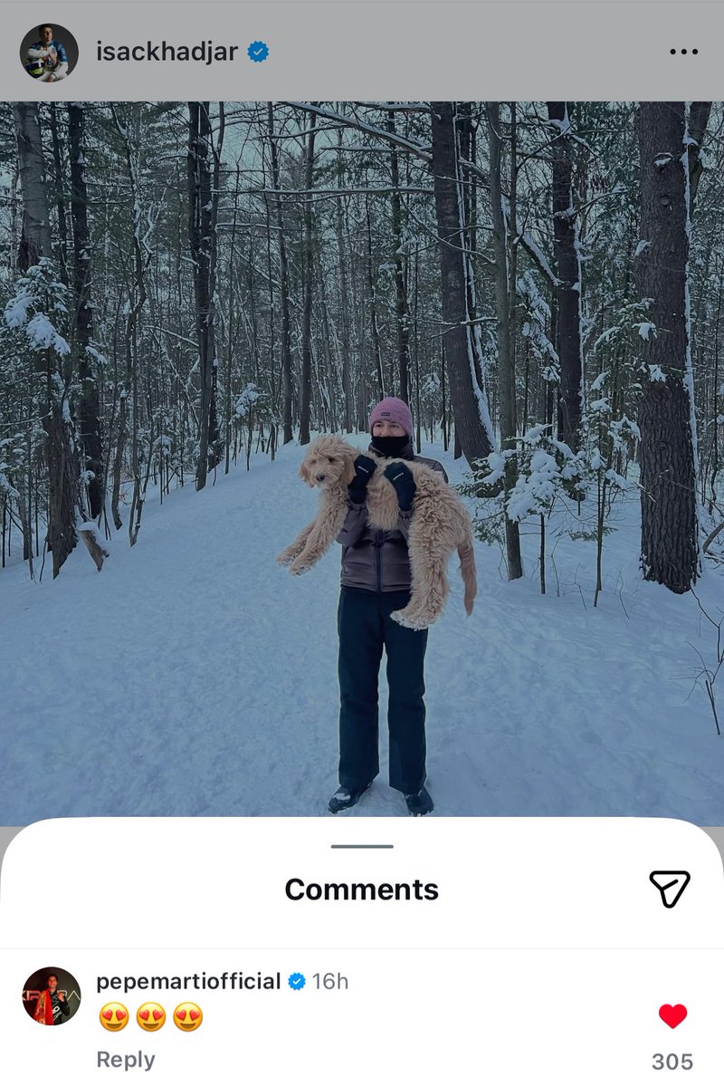 Nika🍁にか tweet media