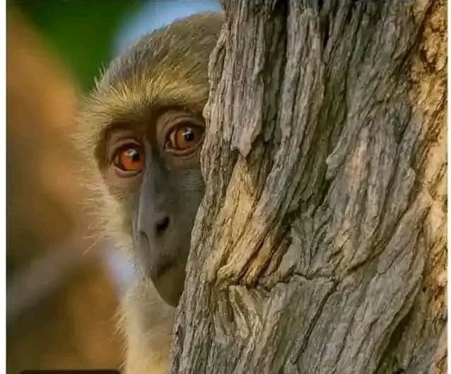 No account should be under 300k 😎🤏

Drop ❤️ we follow you now