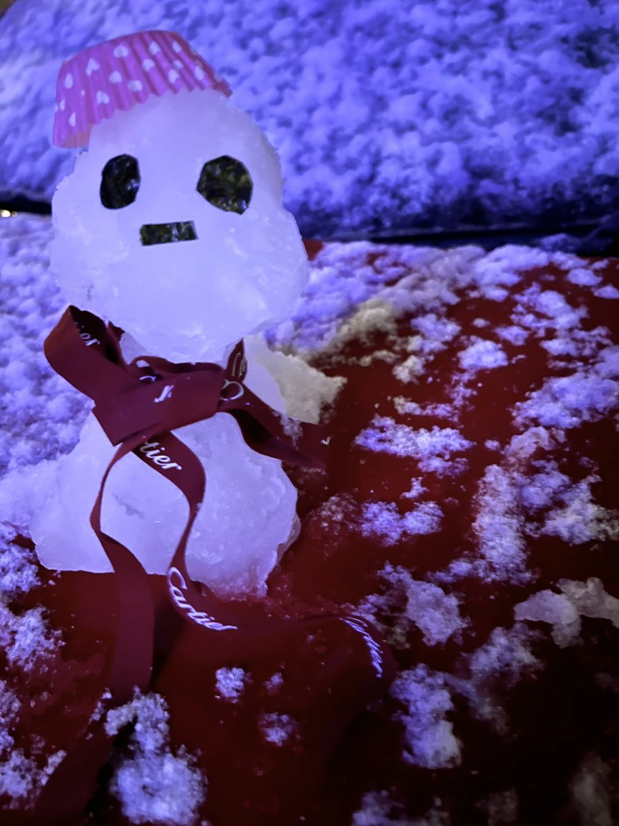 まゆだるま まゆだるま2026に 早々に逢えた年明けだよ☃️😳 明日はみんな