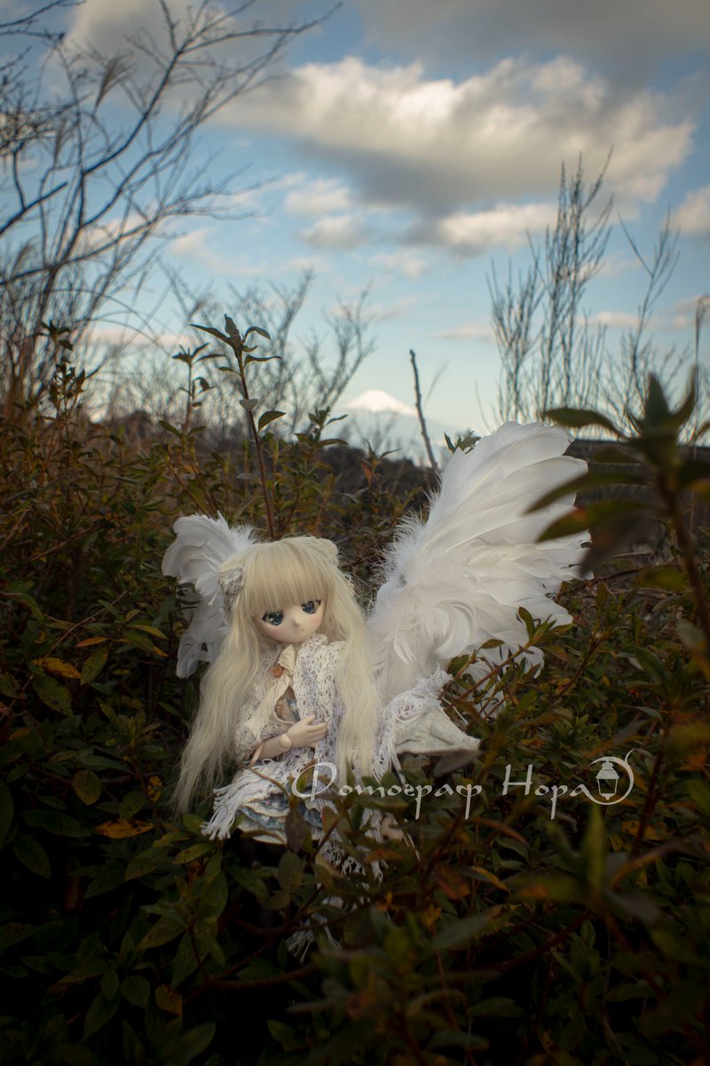 元日の朝と富士山。