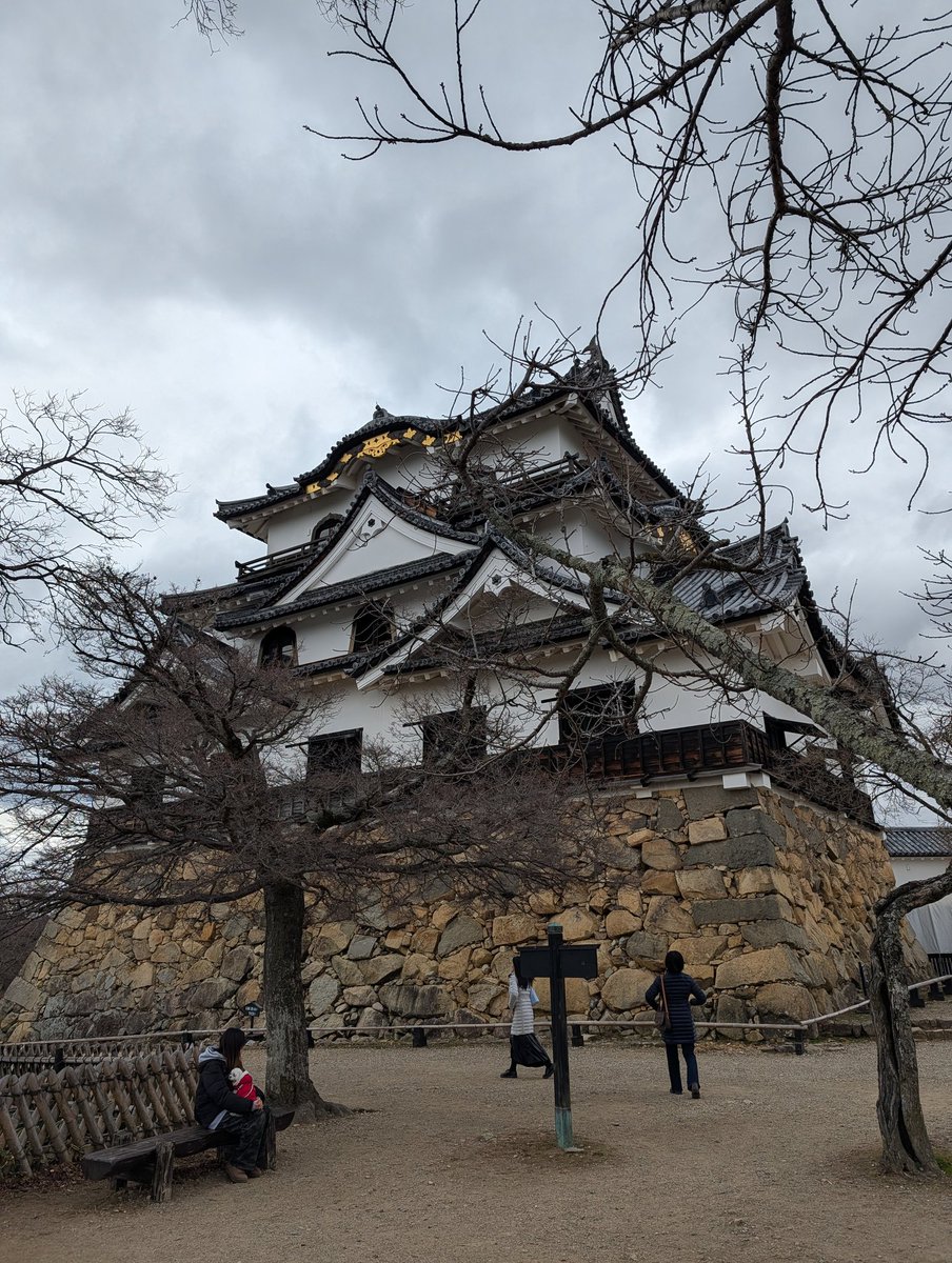 J@異世界召喚に備える日々 tweet media