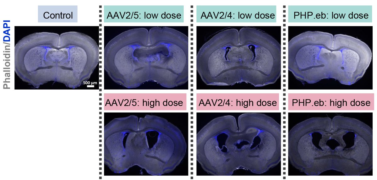 Fame Lab tweet media