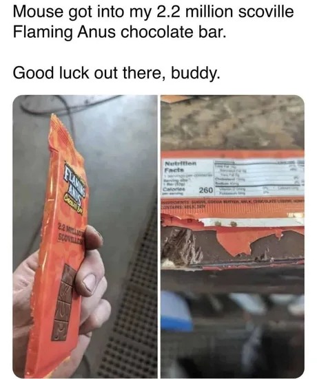 cosyposter's tweet image. 