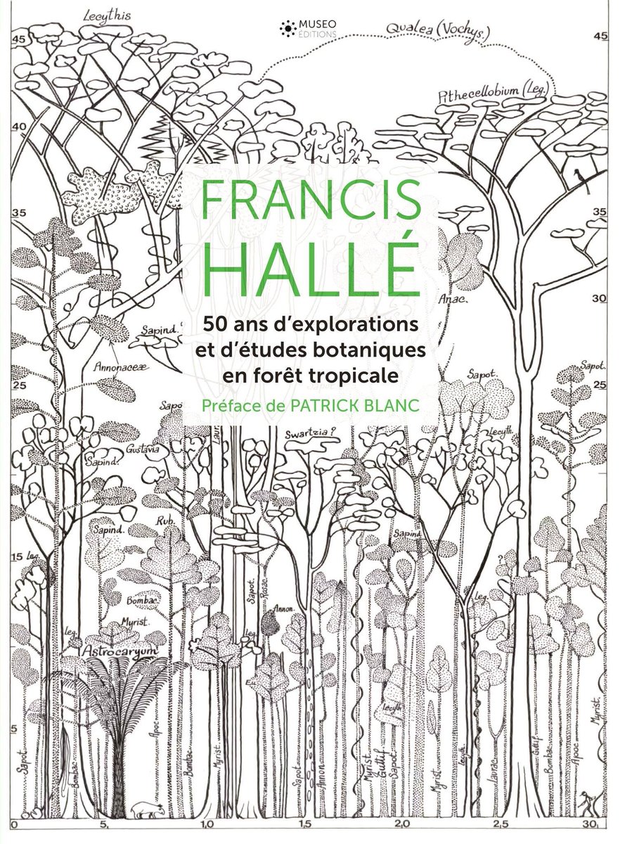 Grâce à ses travaux pionniers sur les espèces des climats tropicaux et sur l’architecture végétale, Francis Hallé a jeté un éclairage nouveau sur la botanique.

Son sens de la pédagogie et ses dessins ont contribué à transformer le regard sur l'écologie tropicale.

3/10
