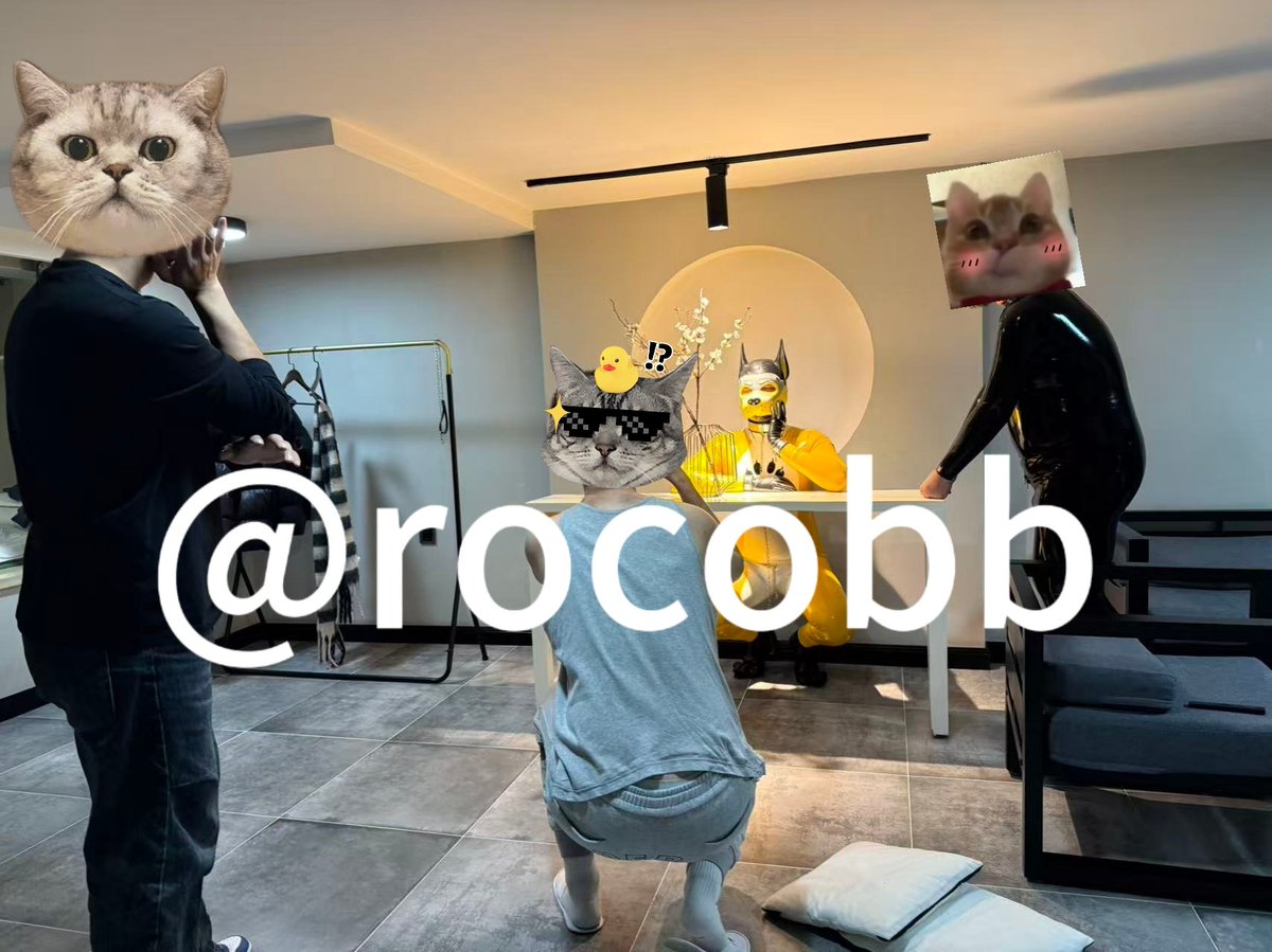rocobb3 tweet media