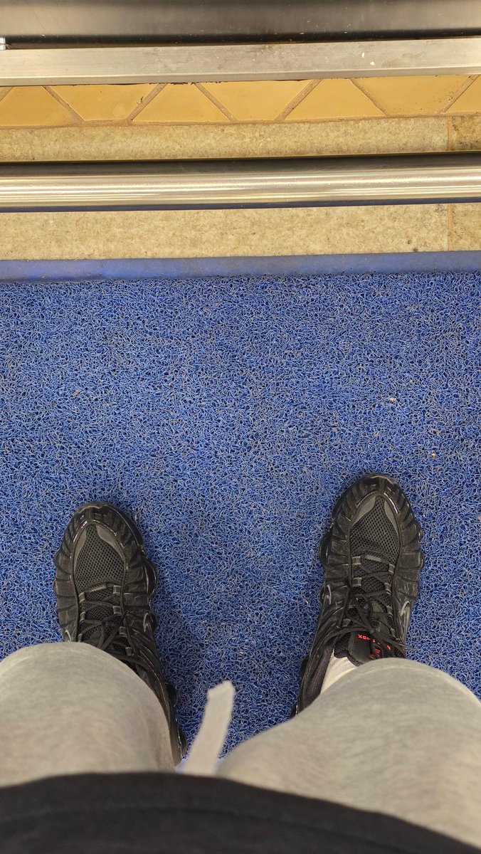 master maximus bsb tweet media