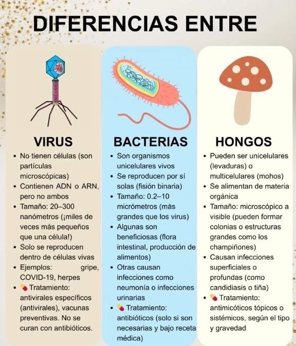 Overa9's tweet image. 