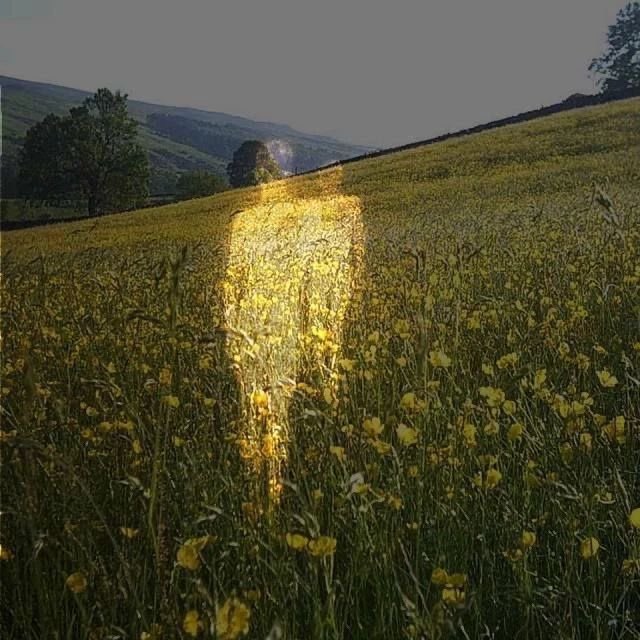 Estrellándonos 
Ene2/13Tevet
La luna ya ingresada a Cancer y casi 🌕
Hace oposición con Mercurio♑️ recién ingresado
Mood de nostalgia y la 1ra. Toma de conciencia del año 
¿Como me estoy habitando hoy?
¿Ya estoy consciente de mi raíz emocional?
Enfócate en sentirte. <a href="/NextFmMX/">NextFmMX</a>