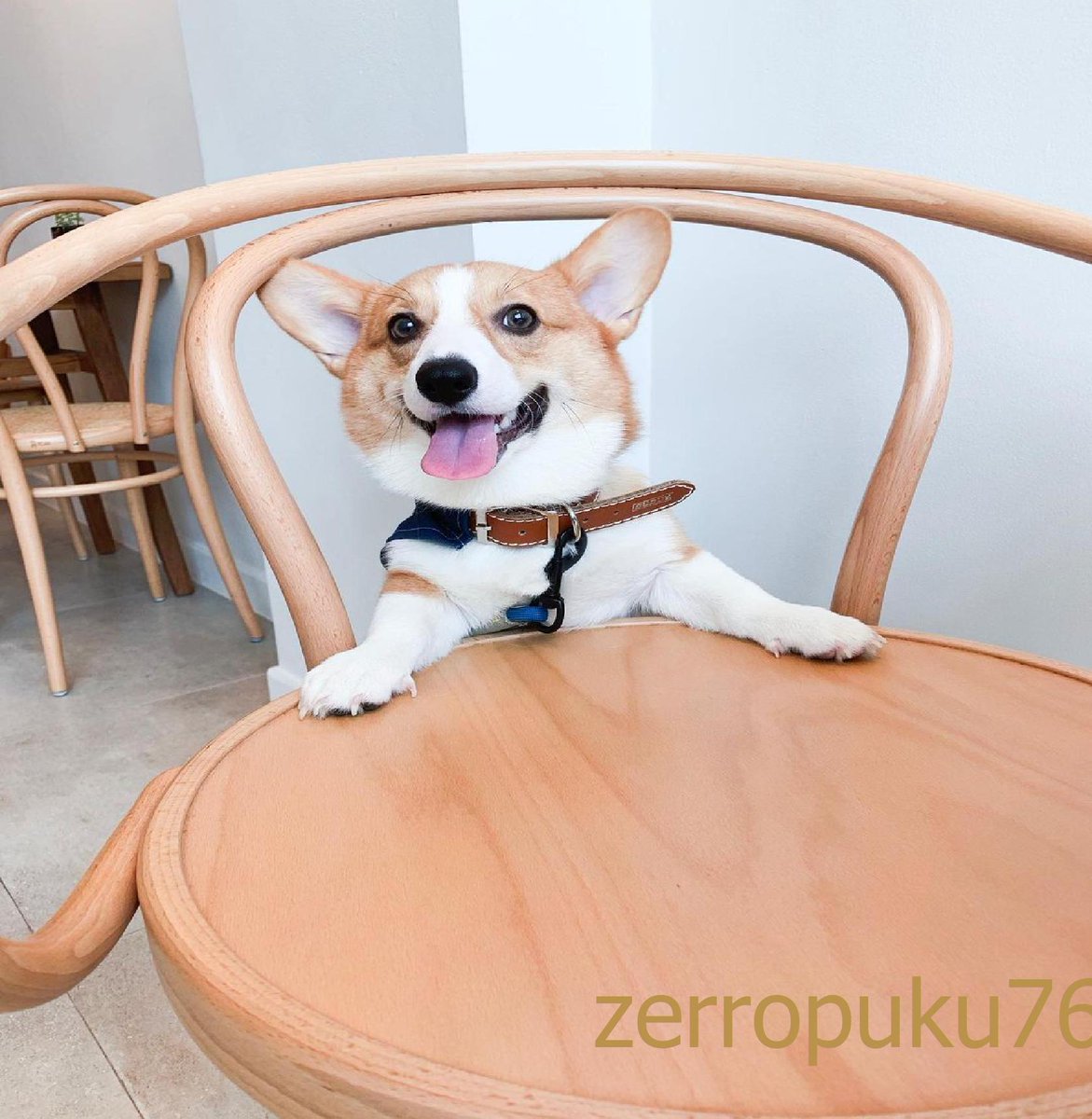 James Finch tweet media