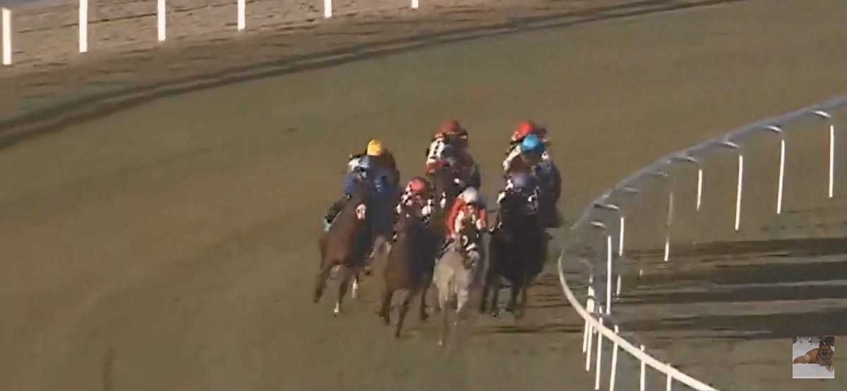 Jenrick Thoroughbreds tweet media