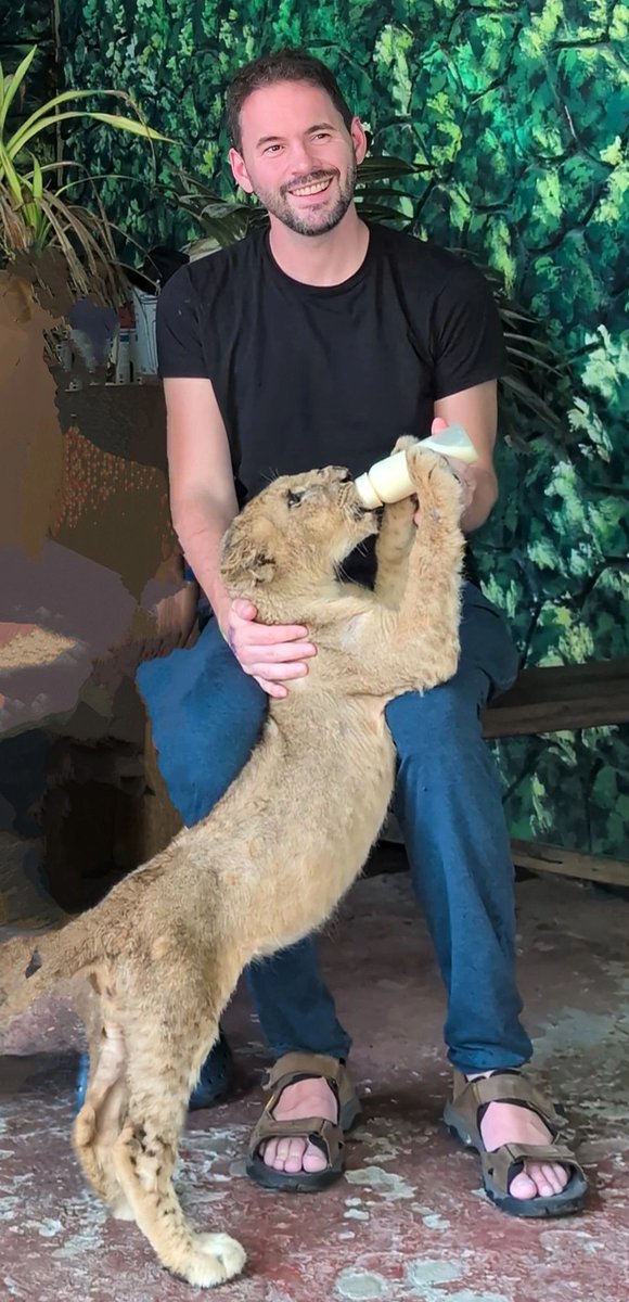 What does a lion cub, a bear, and a scorpion have in common?

I'd rather be bit by them than rely upon Amazon Seller Support 📷