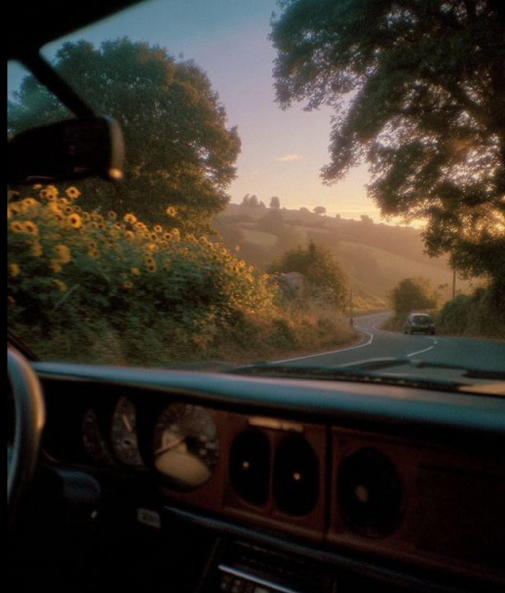 sunflower fields drinking
late noon sunlight 
green blur of landscape 
whizzing highway

pit stops dhaba chai
earthen kulhads balanced 
on rickety tables, oil-soaked 
pakoras, warm wizened
village-browned faces

radio from shop 
blaring romance
a happy dog wagging tail

leafy