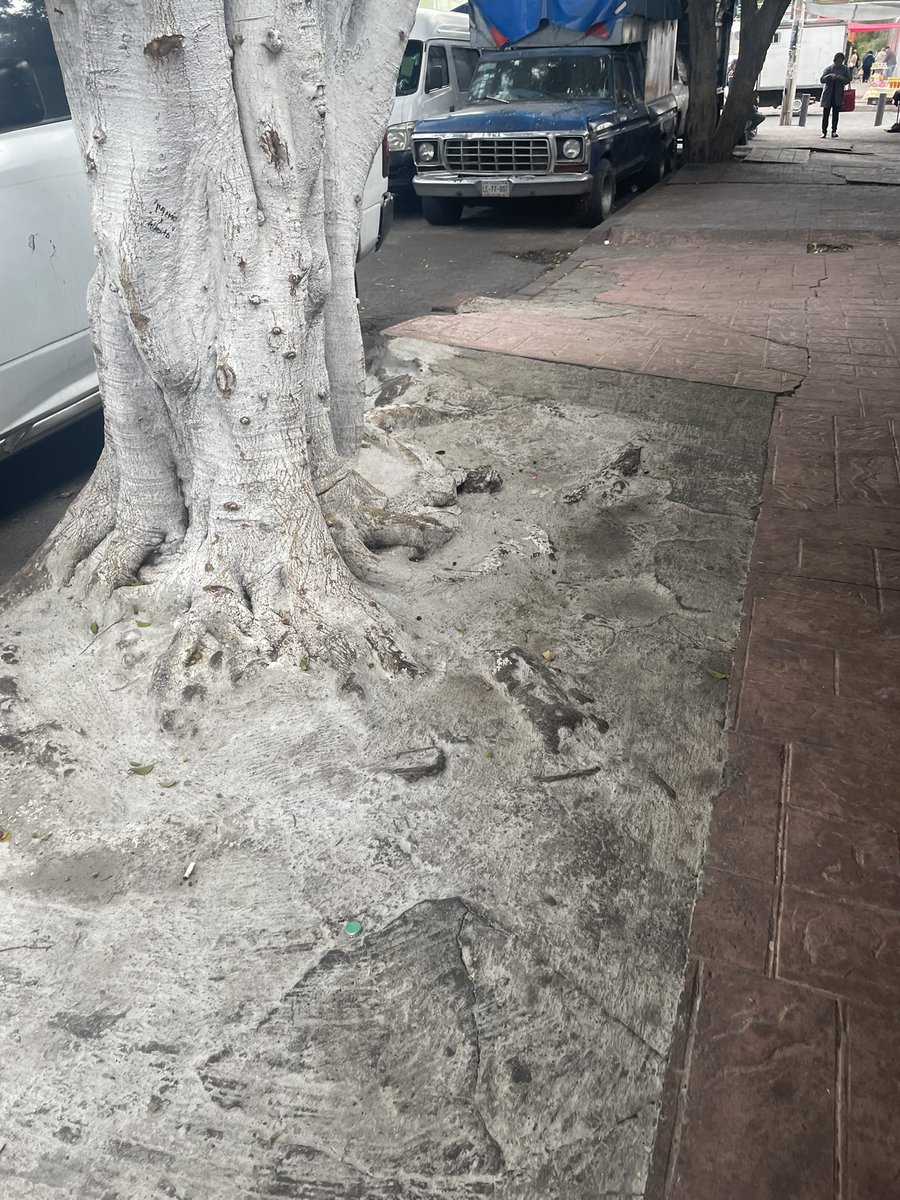 モㄥ工乙丹乃モ匕卄☕🏃🚴♑ tweet media