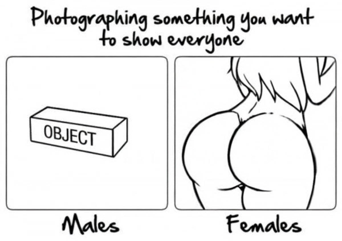 SkepticalWaves tweet media