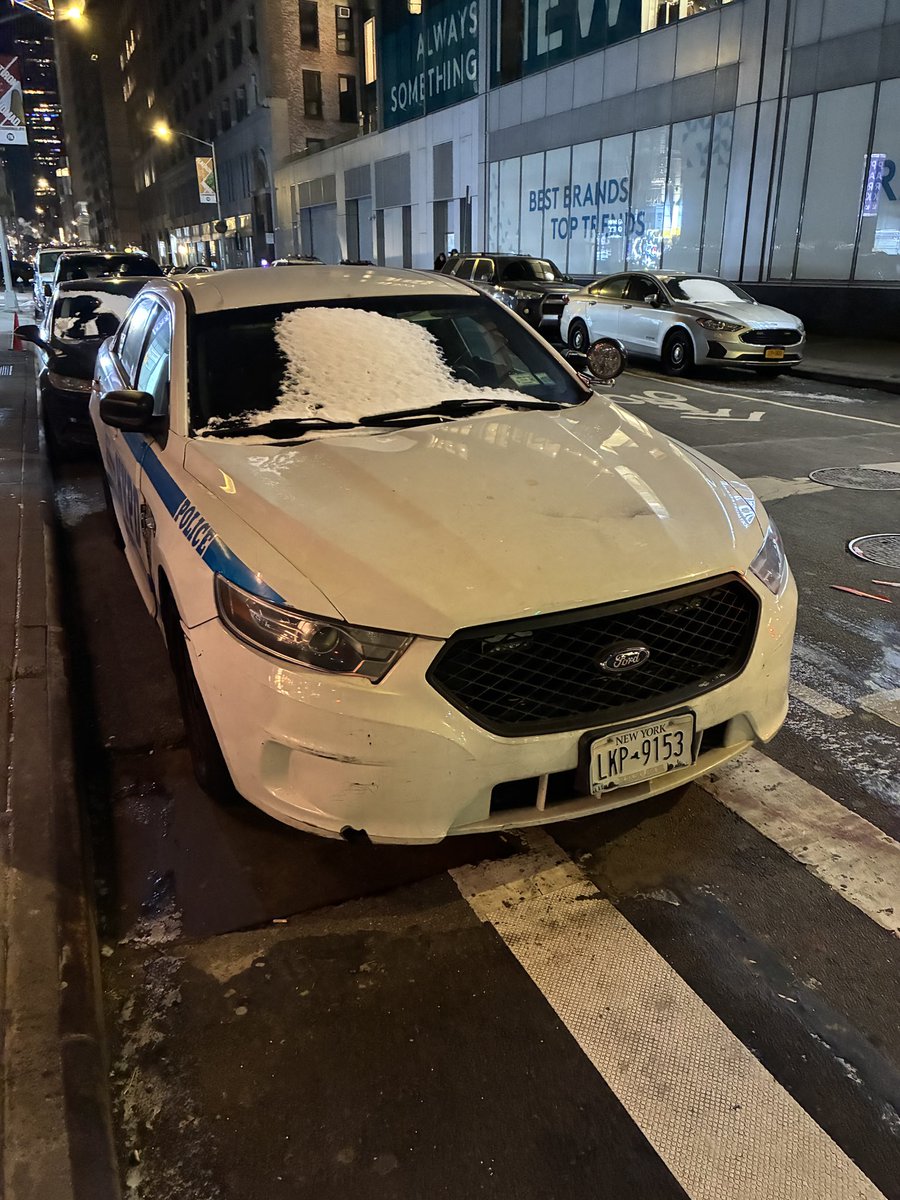 JeffAdamsNZ's tweet image. Don’t understand appeal of cold climates … welcome to New York