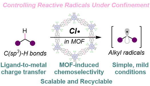 Milner Group at Cornell University tweet media