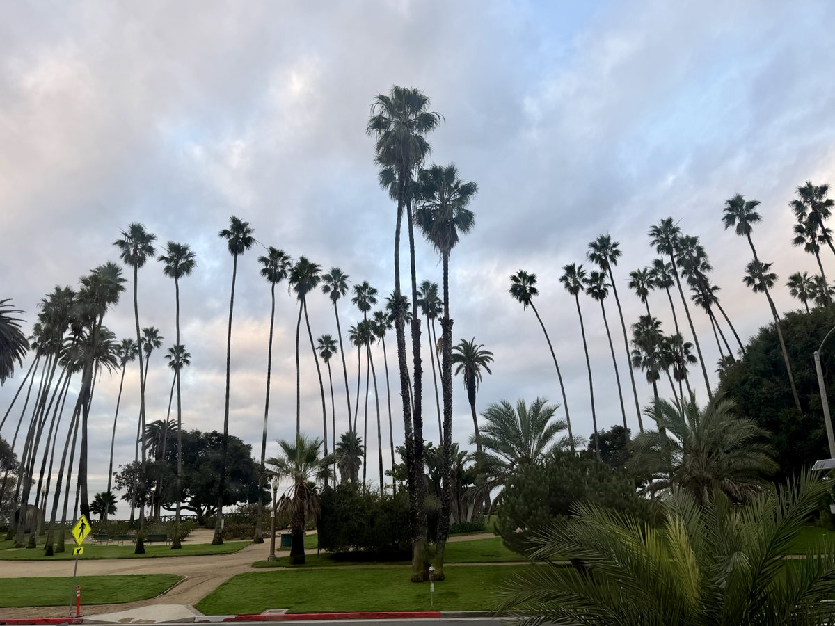 December 2,2026   7:23 a.m
Stunning view from glass window 
Ocean Ave,Santa Monica