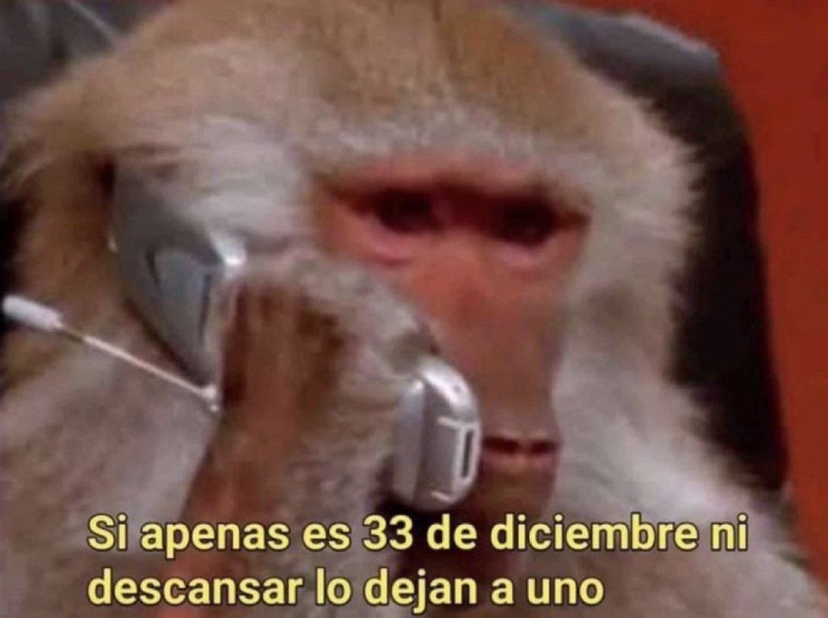 Guarromantico_'s tweet photo. *Mi jefe llamándome el 2 de enero para que vaya a trabajar*

Yo en corto: https://t.co/HmMsEvsYfR