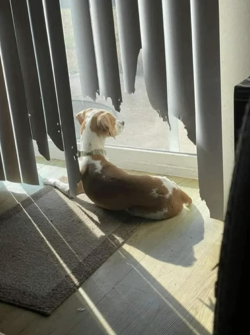 Women's Humor tweet media