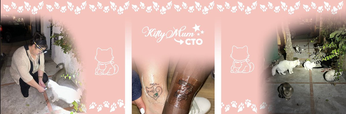 kittyMum($Mum)CTO tweet media