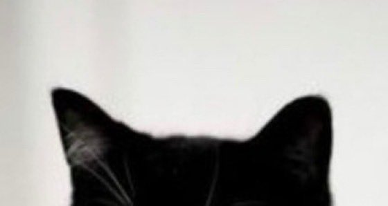 Acervajisoo's tweet image. 