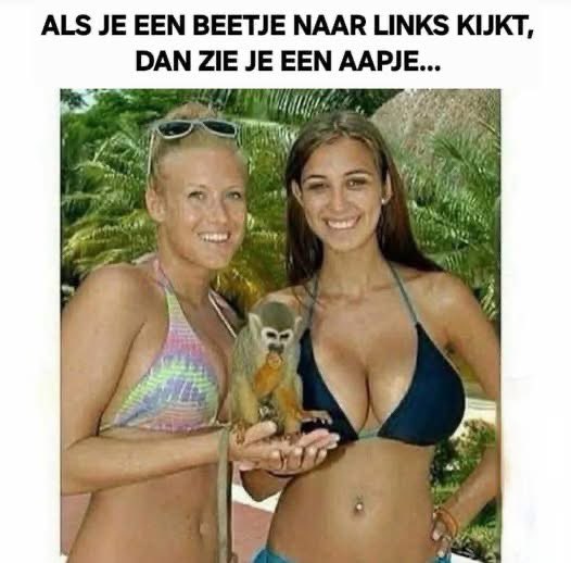 EvertOostdam™ (@evertoostdam) on Twitter photo 