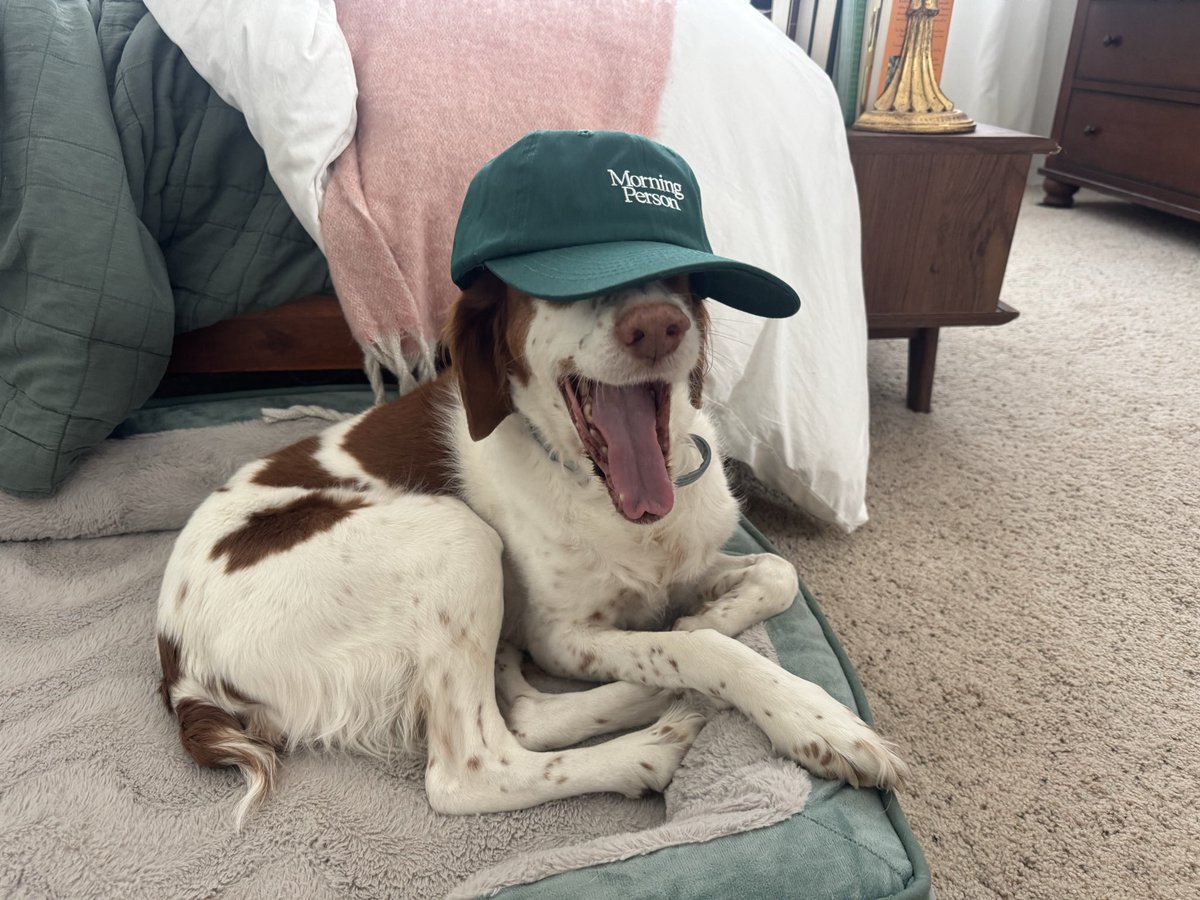 Ryan Token tweet media