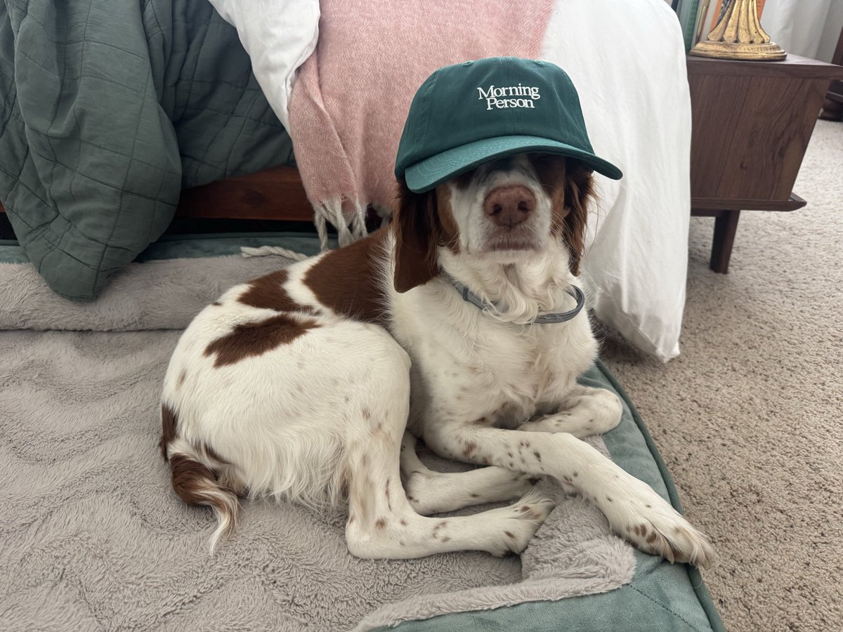 Ryan Token tweet media