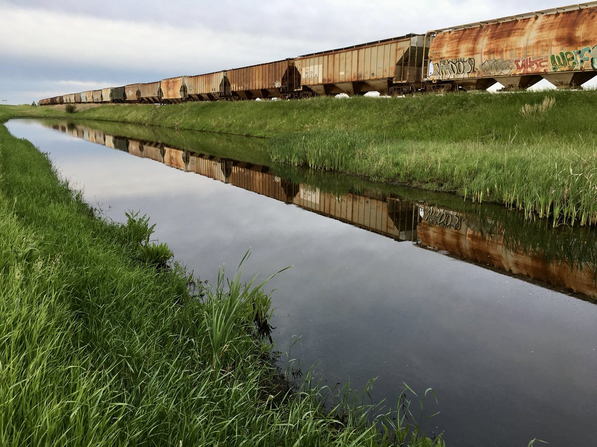 When life throws u a curve ball - choke up and foul it off ! ⚾️