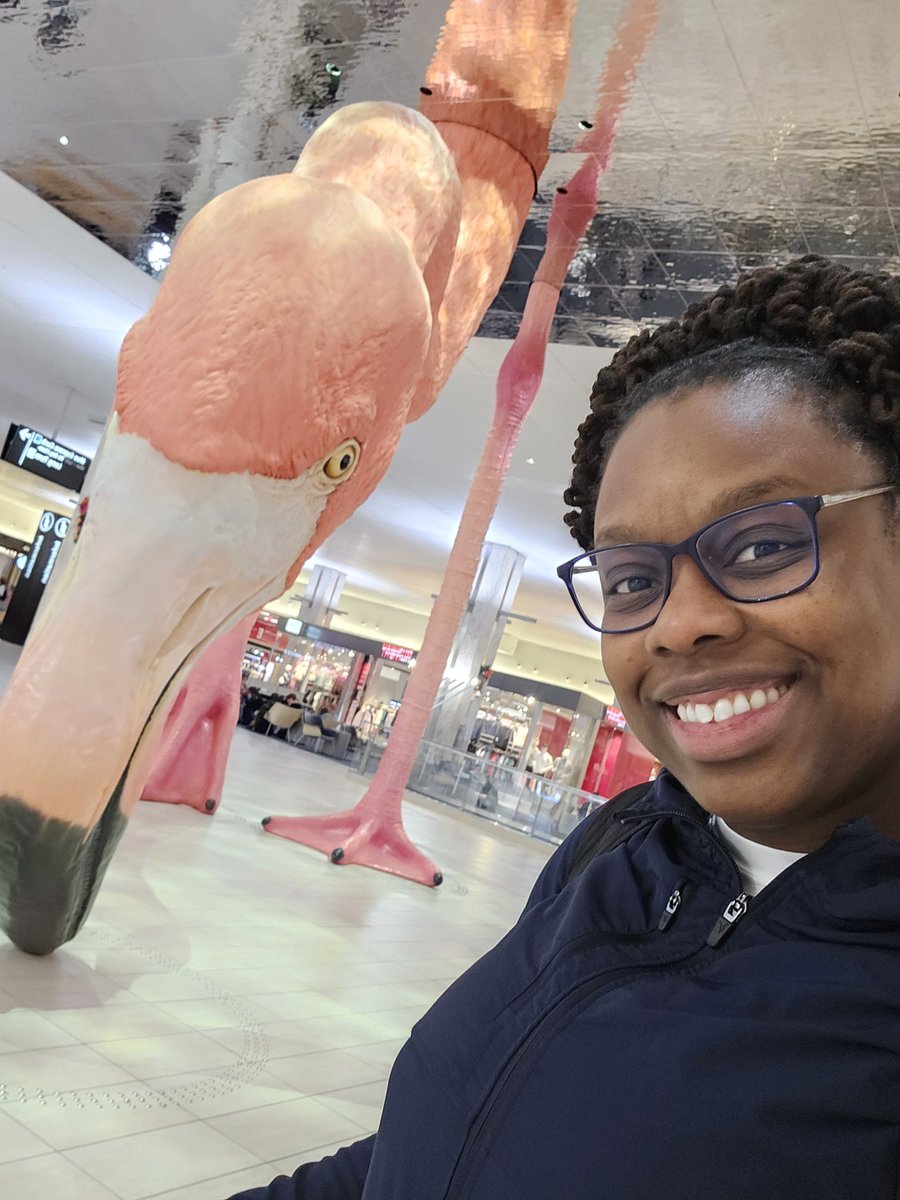 KMCtheMarketer's tweet photo. Made sure to say hello to Phoebe @FlyTPA today! https://t.co/vAwffR5a4M