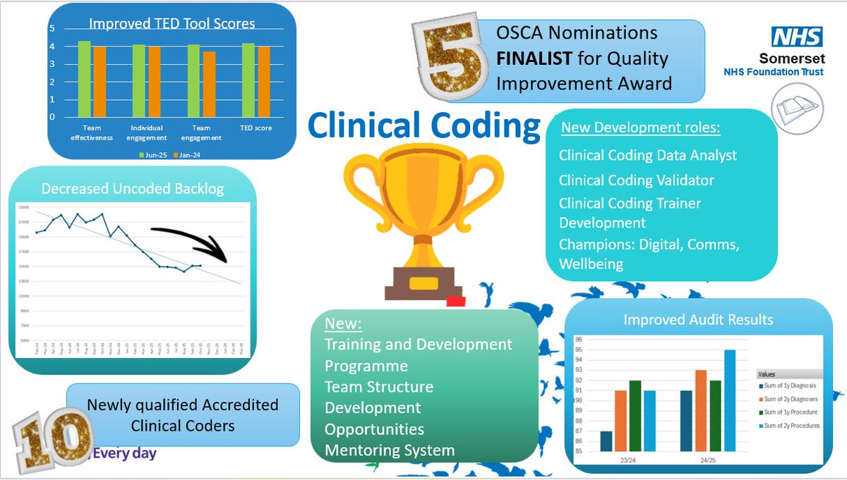 SFT_CodingTeam tweet media