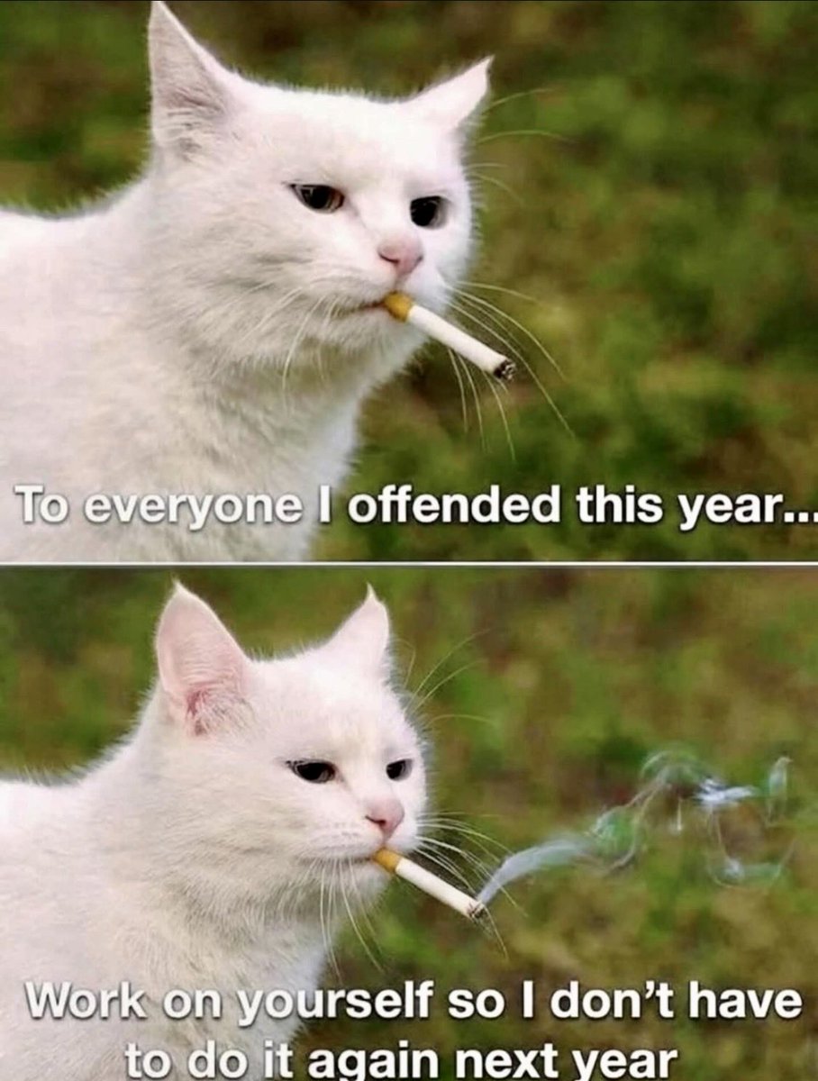 Mat Campbell tweet media