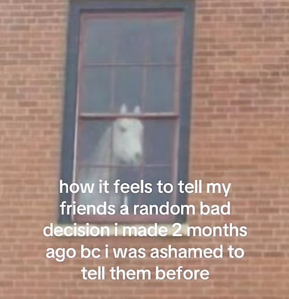 northstardoll's tweet image. 