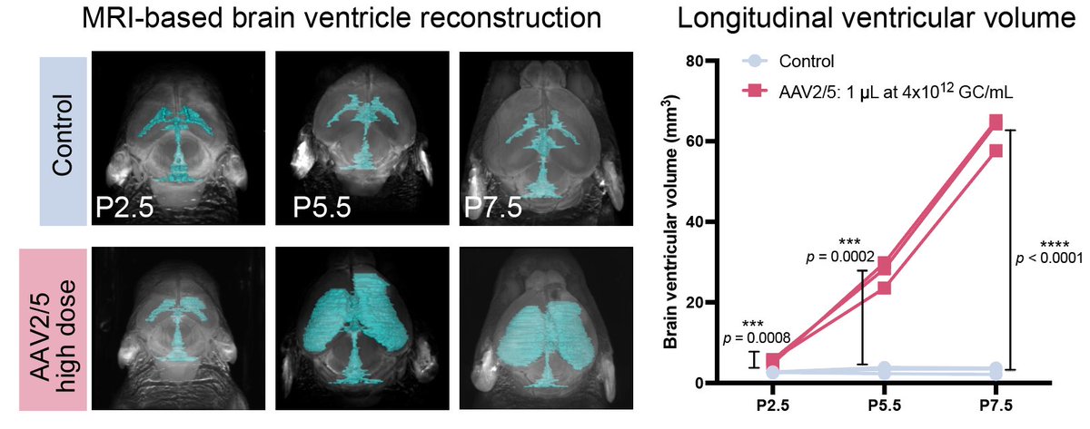 Fame Lab tweet media