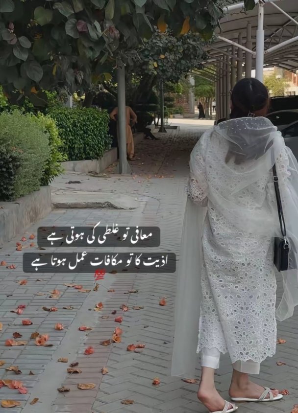 کتنی آہستہ پڑ رہی ہے پھوار 
تیرے لہجے کی نرمیاں جیسے🫠
💐🥂

<a href="/01M1hi/">🦋Mahii Malik 🦋</a> 
<a href="/01sehrr/">🦋 سحر ملک 🦋</a> 
<a href="/1Mah1i/">🦋ماہی ملک 🦋</a> 
<a href="/7nStar_/">𝓝 𝓢αʅιԋҽҽɳ🙃</a> 
<a href="/_Sehar_ik/">سحر ملک 🎀</a> 
<a href="/M__mlkk/">ماہی ملک</a> 
<a href="/omeedhn/">🪔امیدِ سحر🎀</a> 
<a href="/Sheel_12/">Sheel_12 ⚔️⚔️👑 Of 💍💍💍</a> 
<a href="/sehrmhi/">🦋سحر ماہی🎀</a> 
<a href="/Sc2017W/">SC2017</a> 
<a href="/Asjk2/">Muhammad Junaid Anwar</a> <a href="/JF__7n/">🇵🇰 🇵🇸🔻𝒮𝒶𝒾𝒻𝓊𝓁𝒾𝓈𝓁𝒶𝒶𝓂🇵🇰🇵🇸🔻</a> 
<a href="/S111_9/">SHAHID MEHMOOD</a> <a href="/Ejz55/">👉𝐄ᴊᴀᴢ 𝐇ᴀsʜᴍi👈</a> 
<a href="/sun_zara_/">شہزادہ بھائی</a> 
<a href="/sk_00777/">Suleman Khan</a> 
<a href="/zubm9231/">ZUBAIR Muhammad</a> 
<a href="/_NM40/">Nabeel Zaffar</a> 
<a href="/Haris_943/">Haris PTI ᵀᶠᴸᵂ(🎂مانو کی )</a> 
<a href="/1IK_PTI/">Hammad Khan</a> 
<a href="/bndy66/">khawaja ASÃD</a> 
<a href="/MunwarJutt9/">Munwar Jutt</a>