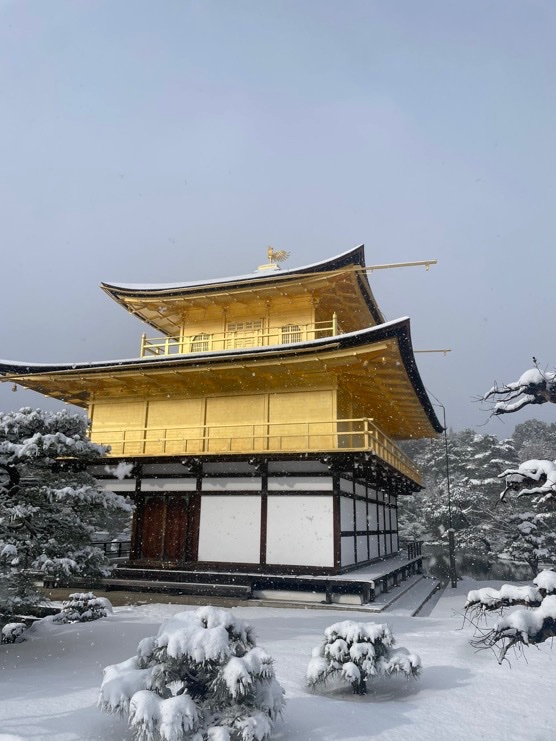 brawayne's tweet image. 京都7年目にしてここまで完璧な雪状態は初めて来た⛄️