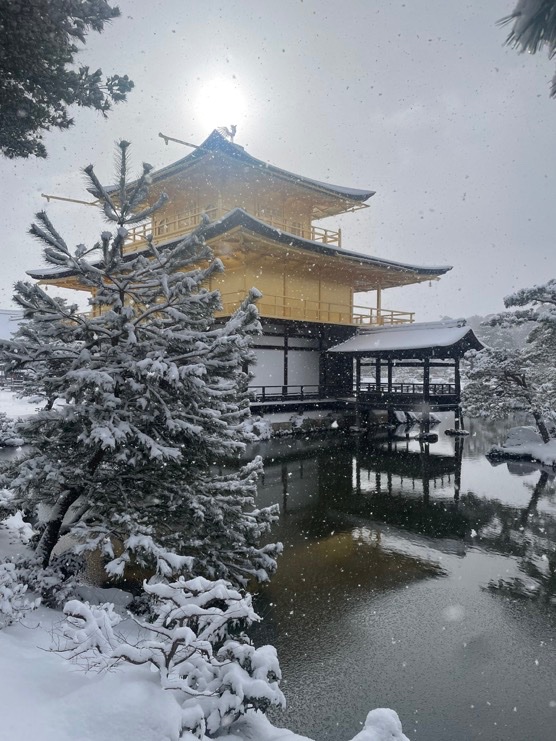 brawayne's tweet image. 京都7年目にしてここまで完璧な雪状態は初めて来た⛄️