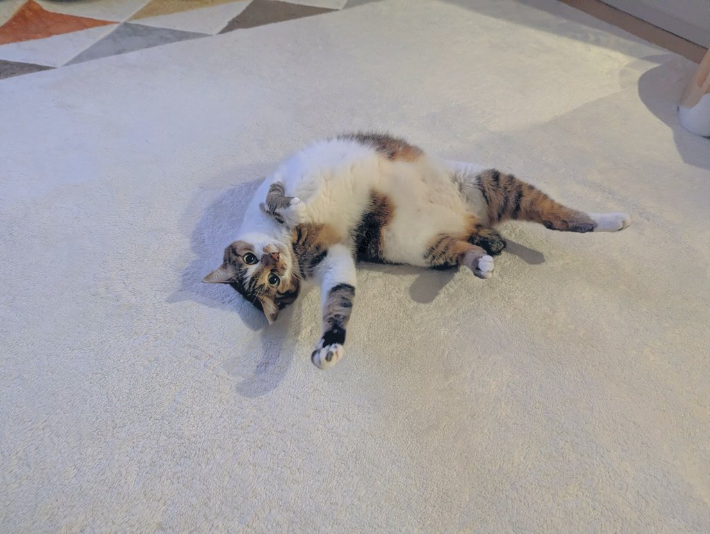 みみみちゃん (@mimimi______64) / Posts / X