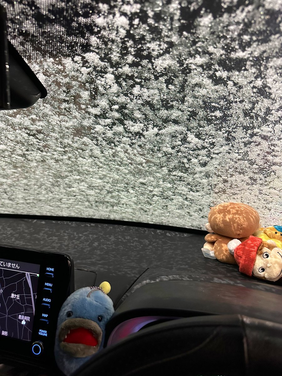 SUU // いろどりファーム👩🏻‍🌾 tweet media